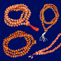 11 Mukhi Rudraksha Mala